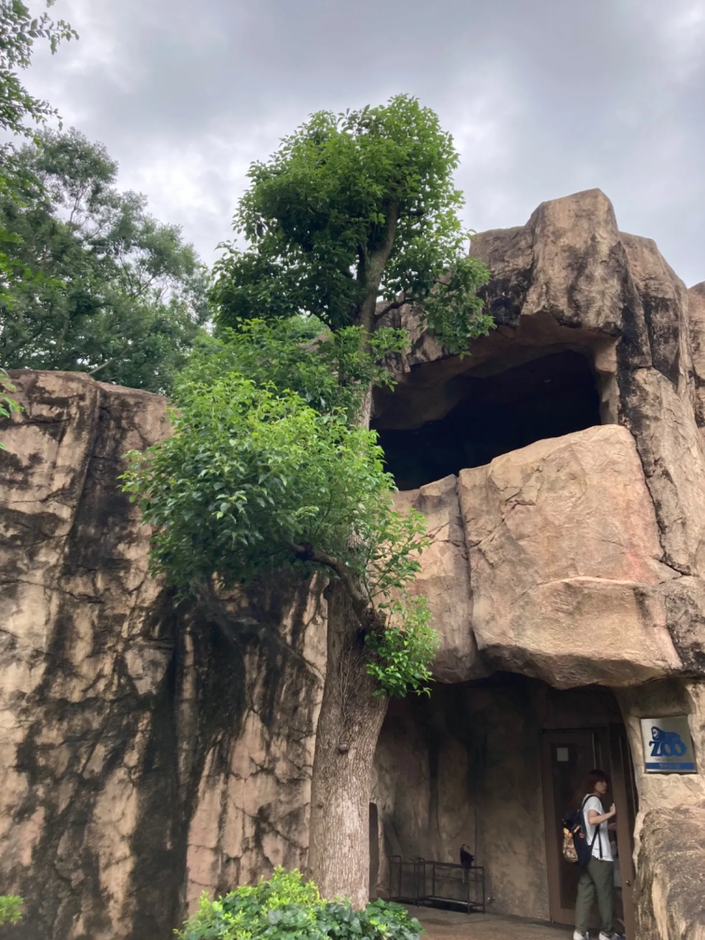 動物園に行っても