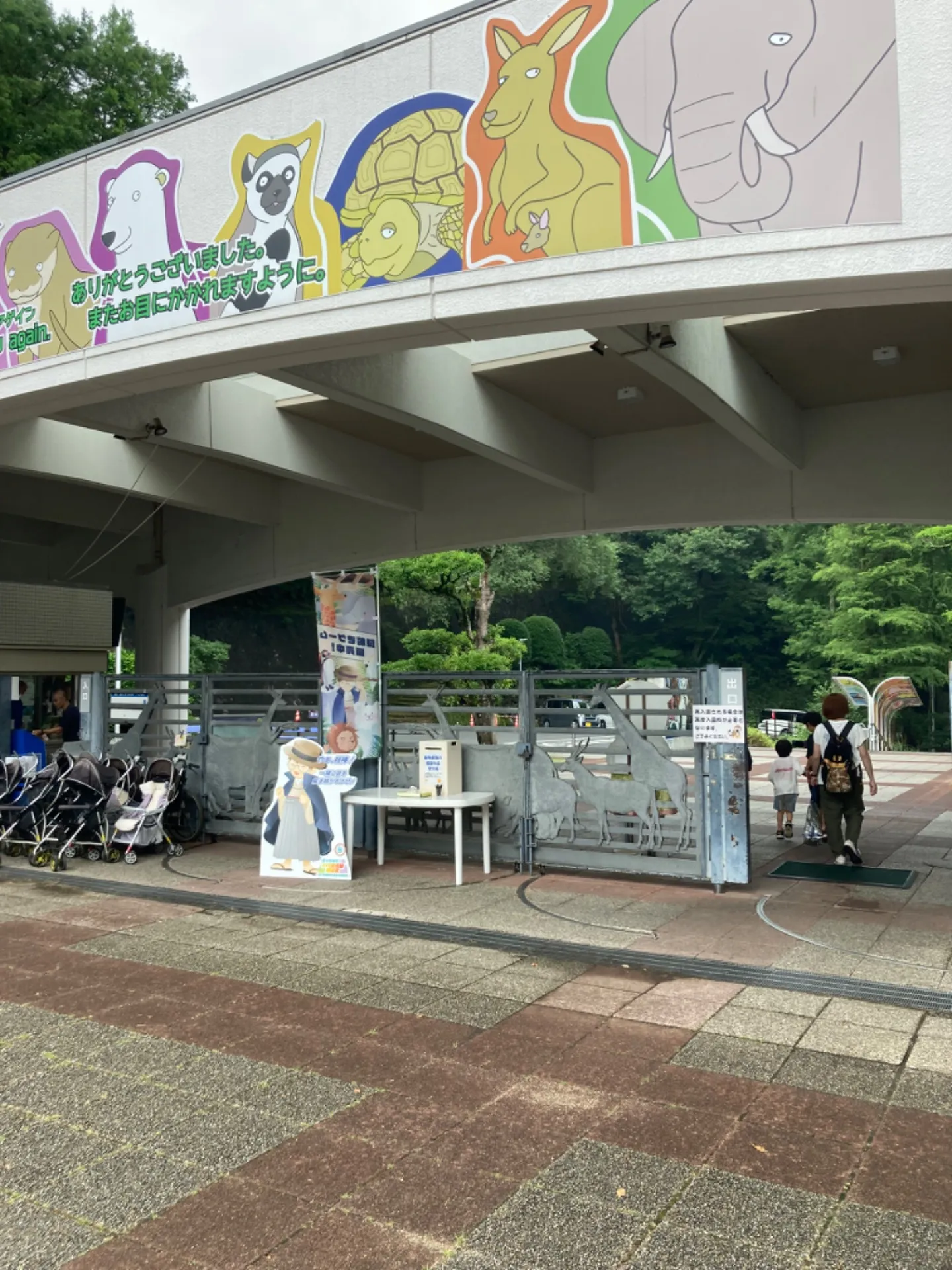 動物園に行っても